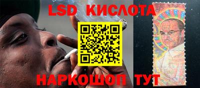 прущие крисы Камышлов