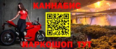прущие крисы Камышлов