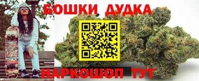 прущие крисы Камышлов