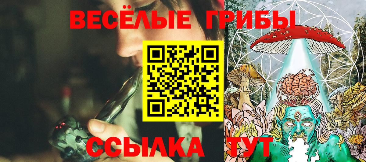 Псилоцибиновые грибы мухоморы  Вход с VPN  Краснокаменск 